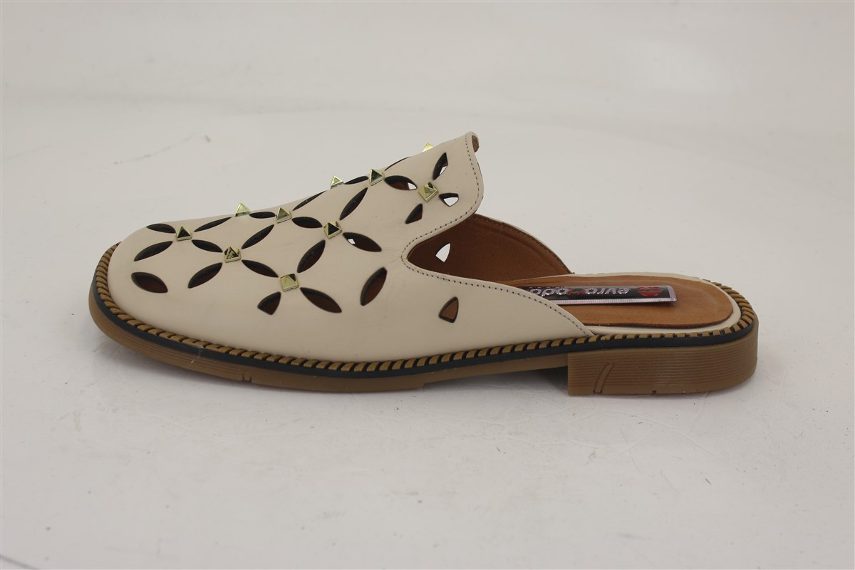 Düz arka plan üzerinde terlik